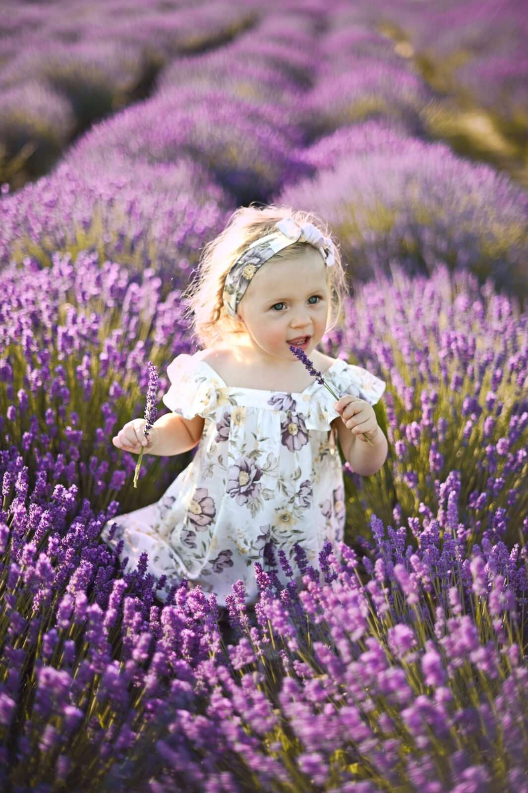 rodinné a detské fotenie, fotenie v levanduli v Bratislave