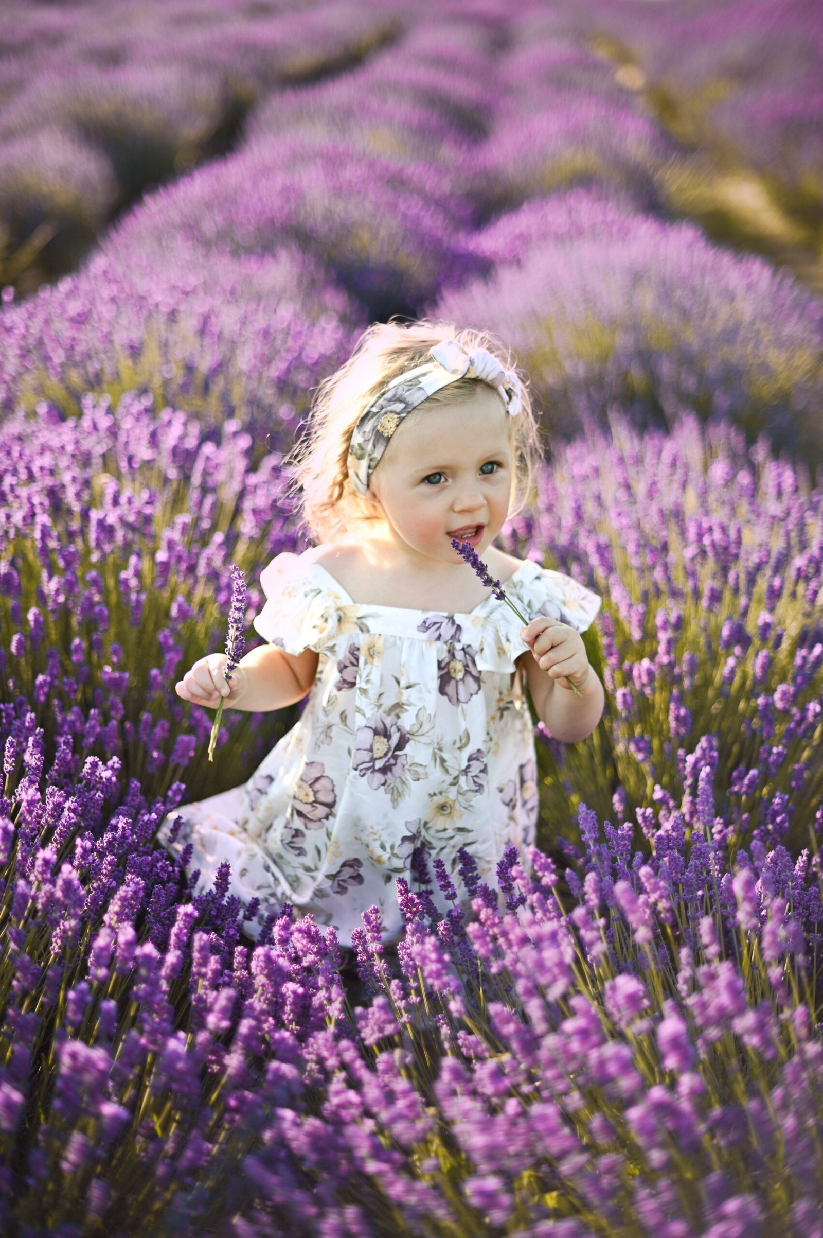 rodinné a detské fotenie, fotenie v levanduli v Bratislave