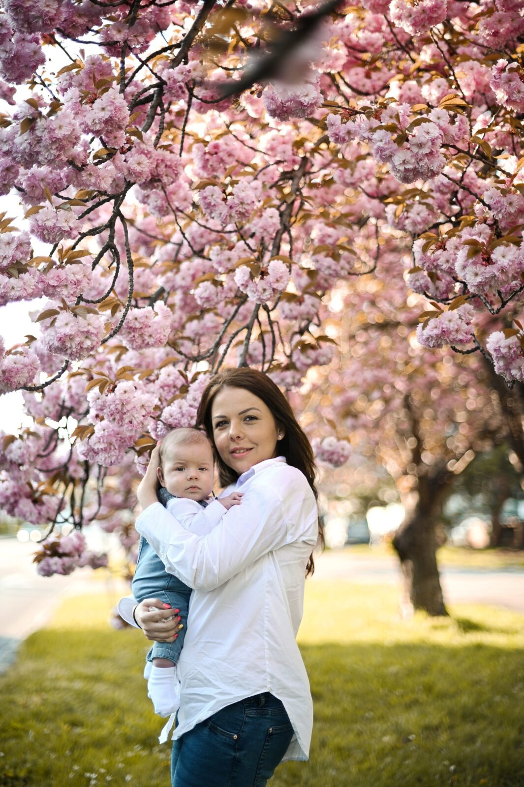 rodinné a detské fotenie, fotenie v čerešni, v Sakure v Bratislave