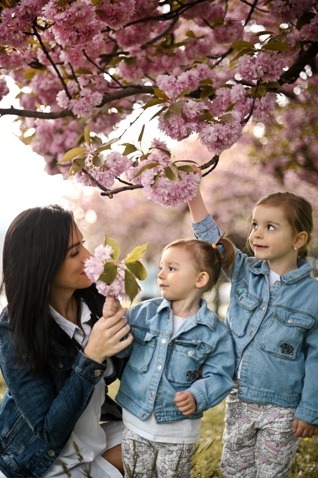 rodinné a detské fotenie, fotenie v čerešni, v Sakure v Bratislave